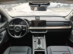Cadillac Cannon 2024 2.4T Commercial Automatic Diesel 4WD Elite - ფოტო 10