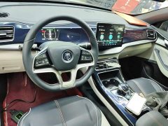 BYD Qin PLUS 2021 EV 400KM Luxury - ფოტო 10