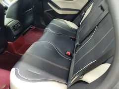 BYD Qin PLUS 2021 EV 400KM Luxury - ფოტო 17