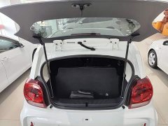 SAIC Clever 311km Vitality Pop Edition - ფოტო 19
