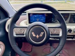 Wuling Binguo 333km Joy Edition - ფოტო 12