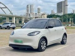 Wuling Binguo 333km Joy Edition - ფოტო 2