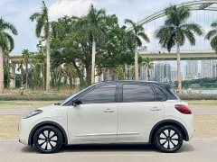 Wuling Binguo 333km Joy Edition - ფოტო 6