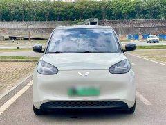 Wuling Binguo 333km Joy Edition - ფოტო 7