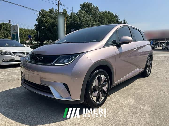 BYD Dolphin Glory Edition 420km Freedom Version - ავტომობილი ჩინეთიდან