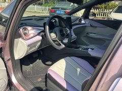 BYD Dolphin Glory Edition 420km Freedom Version - ფოტო 11