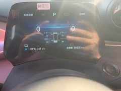 BYD Dolphin Glory Edition 420km Freedom Version - ფოტო 13