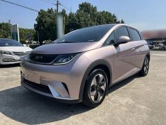 BYD Dolphin Glory Edition 420km Freedom Version - ფოტო 2