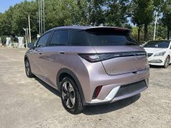 BYD Dolphin Glory Edition 420km Freedom Version - ფოტო 4