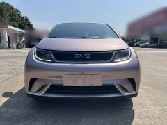 BYD Dolphin Glory Edition 420km Freedom Version - ფოტო 7