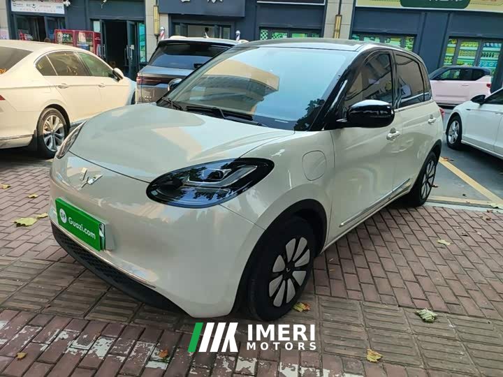 Wuling Binguo 333km Joy Edition