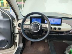 Wuling Binguo 333km Joy Edition - ფოტო 11