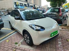 Wuling Binguo 333km Joy Edition - ფოტო 4