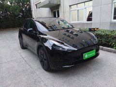 Tesla Model Y Rear-Wheel Drive - ფოტო 4