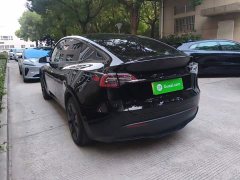 Tesla Model Y Rear-Wheel Drive - ფოტო 5