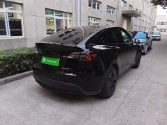 Tesla Model Y Rear-Wheel Drive - ფოტო 7