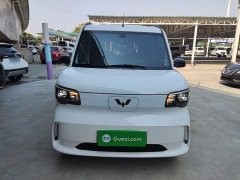 Wuling Zhiguang New Energy 305km Aspiring Edition - ფოტო 3