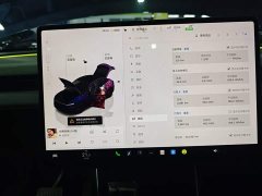 Tesla Model Y Rear-Wheel Drive - ფოტო 12
