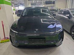 Tesla Model Y Rear-Wheel Drive - ფოტო 3