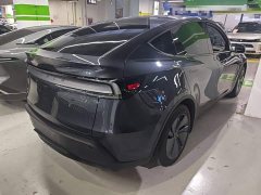 Tesla Model Y Rear-Wheel Drive - ფოტო 7