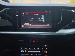 Volkswagen Passat 380TSI Elite - ფოტო 13