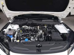 Changan Eado Blue Whale 1.5T 500Bar Luxury - ფოტო 20