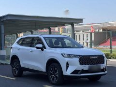 Haval H6 1.5T Two-Wheel Drive Classic Edition - ფოტო 10
