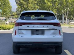 Haval H6 1.5T Two-Wheel Drive Classic Edition - ფოტო 14