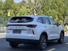 Haval H6 1.5T Two-Wheel Drive Classic Edition - ფოტო 15