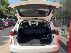 Haval H6 1.5T Two-Wheel Drive Classic Edition - ფოტო 16