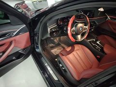 BMW 5 Series Facelift 530Li Premier M Sport Package - ფოტო 16
