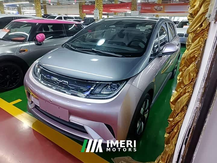 BYD Dolphin 2023 401km Knight Edition - ავტომობილი ჩინეთიდან