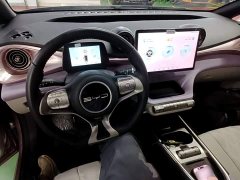 BYD Dolphin 2023 401km Knight Edition - ფოტო 10