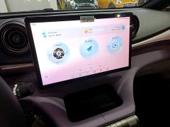 BYD Dolphin 2023 401km Knight Edition - ფოტო 13