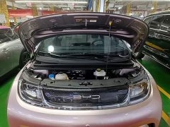 BYD Dolphin 2023 401km Knight Edition - ფოტო 20