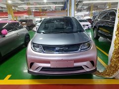 BYD Dolphin 2023 401km Knight Edition - ფოტო 3