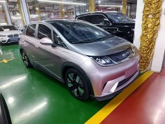 BYD Dolphin 2023 401km Knight Edition - ფოტო 4