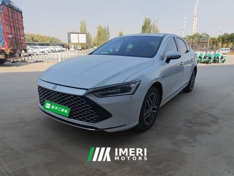 2024 BYD Qin PLUS 2023 Champion Edition DM-i 120KM Leading - ავტომობილი ჩინეთიდან