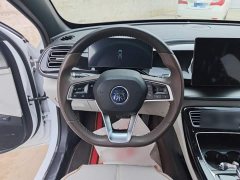 BYD Qin PLUS 2023 Champion Edition DM-i 120KM Leading - ფოტო 11