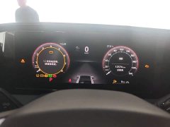 Volkswagen Magotan 380TSI DSG Premium Edition - ფოტო 12