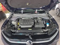 Volkswagen Magotan 380TSI DSG Premium Edition - ფოტო 20