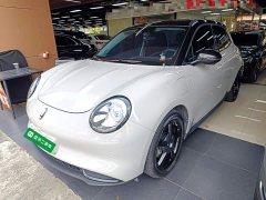 ORA Good Cat 401km Deluxe 135kW - ფოტო 2