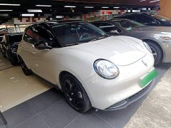 ORA Good Cat 401km Deluxe 135kW - ფოტო 4