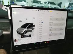 Tesla Model Y Rear-Wheel Drive - ფოტო 13