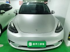 Tesla Model Y Rear-Wheel Drive - ფოტო 3