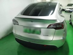 Tesla Model Y Rear-Wheel Drive - ფოტო 6