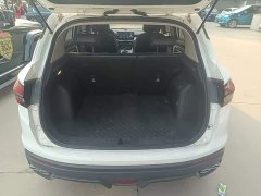 Geely Bingyue 1.5T DCT Platinum Edition - ფოტო 19