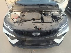 Geely Bingyue 1.5T DCT Platinum Edition - ფოტო 20
