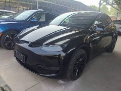 Tesla Model Y Long Range All-Wheel Drive - ფოტო 1