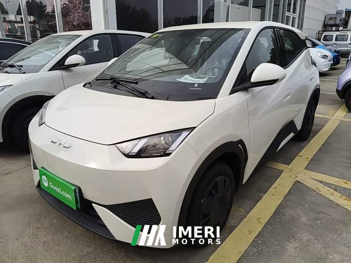 BYD Seagull 2025 Smart Drive 305km Vitality Edition - ავტომობილი ჩინეთიდან